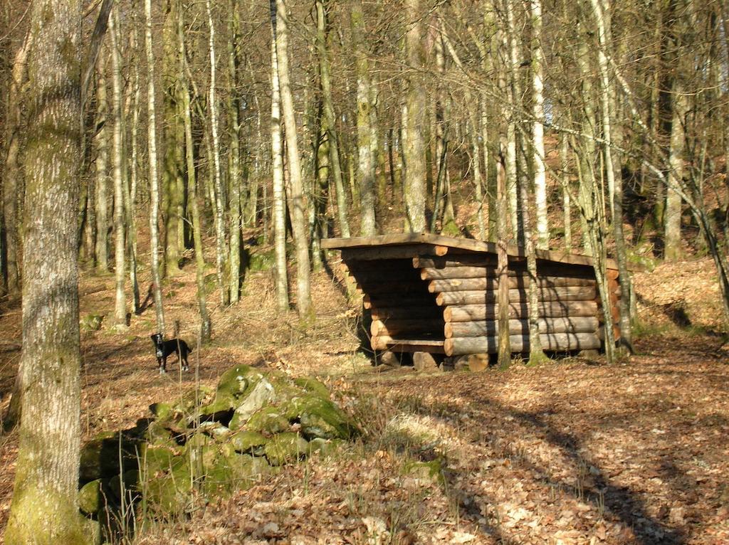 Wismens Natur & Fiske Krogsered Exterior photo